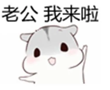 你们要的老婆撩老公表情包_老公_撩妹撩汉
