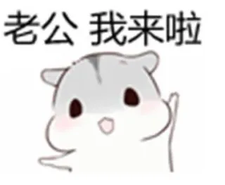 你们要的老婆撩老公表情包_老公_撩妹撩汉表情包