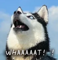 WHAAAAAT！！（WHAAAAAT！！）