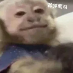 微笑面对(吗喽表情包)（微笑面对(吗喽表情包)）
