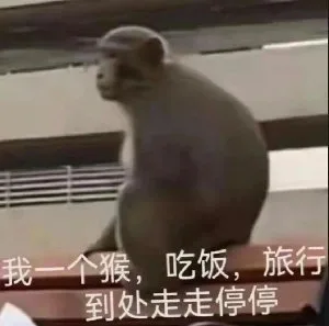 我一个猴，吃饭，旅行到处走走停停（我一个猴，吃饭，旅行到处走走停停）