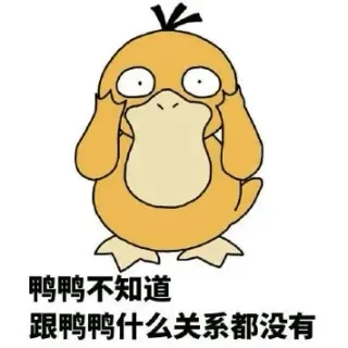 鸭鸭不知道跟鸭鸭什么关系都没有