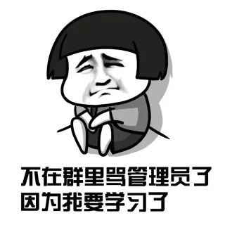 不在群里骂管理了，因为我要学习了