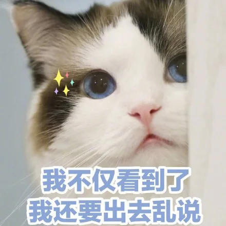 我不仅看到了，我还要出去乱说（我不仅看到了，我还要出去乱说）