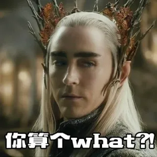 你自个 what？！