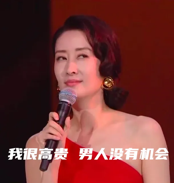 我很高贵男人没有机会（刘敏涛表情包）（我很高贵男人没有机会（刘敏涛表情包））