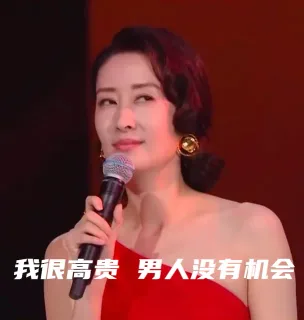 我很高贵男人没有机会（刘敏涛表情包）