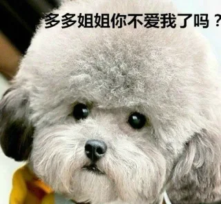 多多姐姐你不爱我了吗？