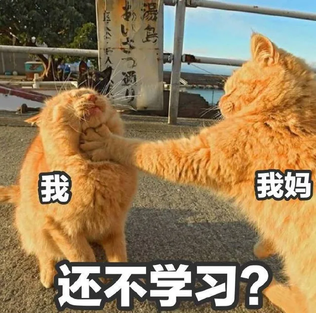 我妈锁喉我：还不学习?（我妈锁喉我：还不学习?）