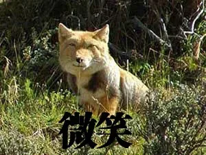 微笑