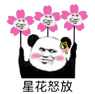 星花怒放（星花怒放）