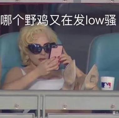 哪个野鸡又在发 low骚（哪个野鸡又在发 low骚）