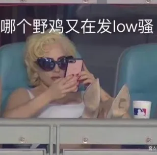 哪个野鸡又在发 low骚