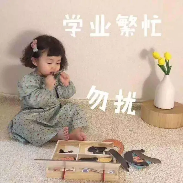 学业繁忙勿扰（学业繁忙勿扰）