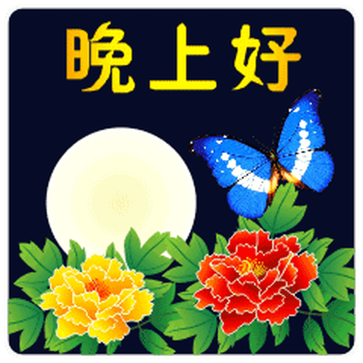 晚上好