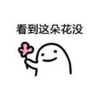 看到这朵花没丢掉都不给你因为这些花才是给你的表情包