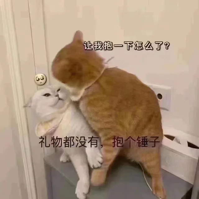 让我抱一下怎么了？礼物都没有，抱个锤子（让我抱一下怎么了？礼物都没有，抱个锤子）