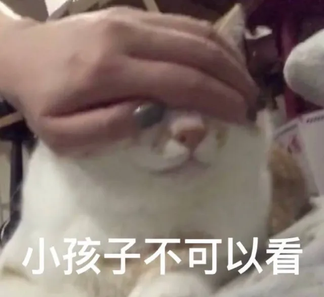 小孩子不可以看（小孩子不可以看）