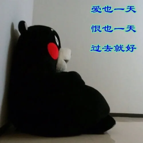 爱也一天恨也一天过去就好（爱也一天恨也一天过去就好）