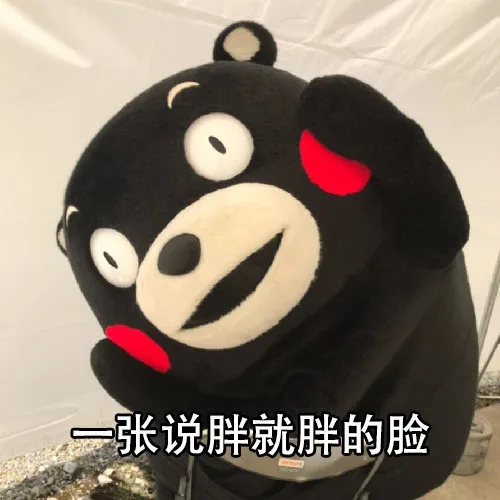 一张说胖就胖的脸（一张说胖就胖的脸）