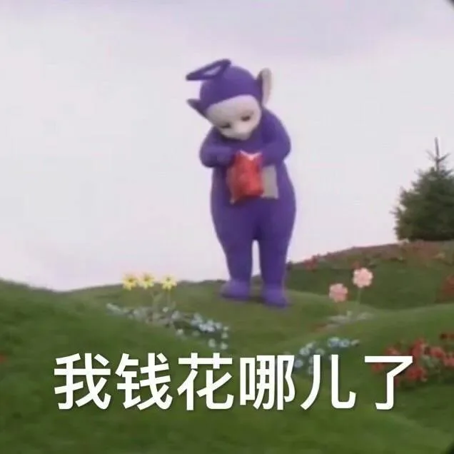 我钱花哪儿了（我钱花哪儿了）