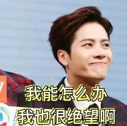 我能怎么办 我也很绝望啊