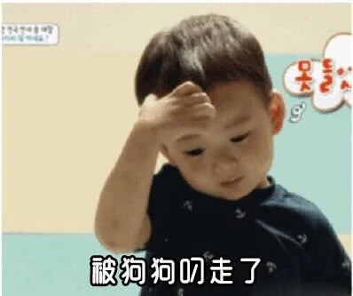 被狗狗叼走了（被狗狗叼走了）