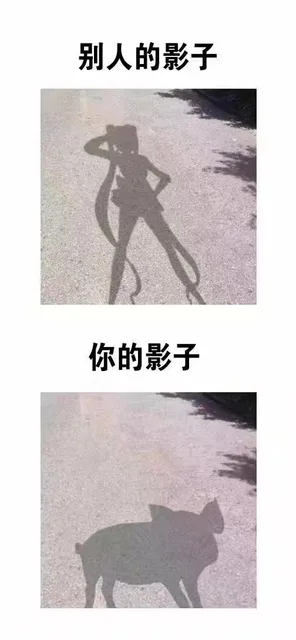 别人的影子你的影子