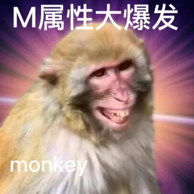 M属性大爆发monkey（M属性大爆发monkey）