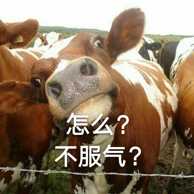 怎么？不服气？