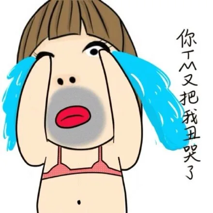 你TM又把我丑哭了（你TM又把我丑哭了）