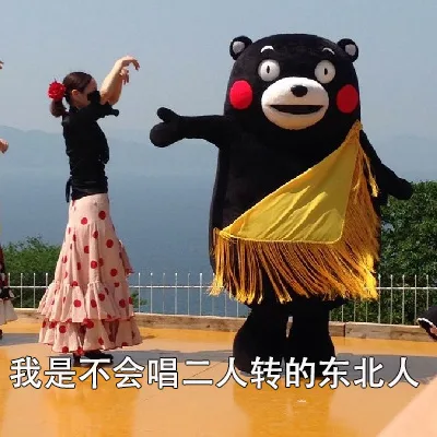我是不会唱二人转的东北人（我是不会唱二人转的东北人）