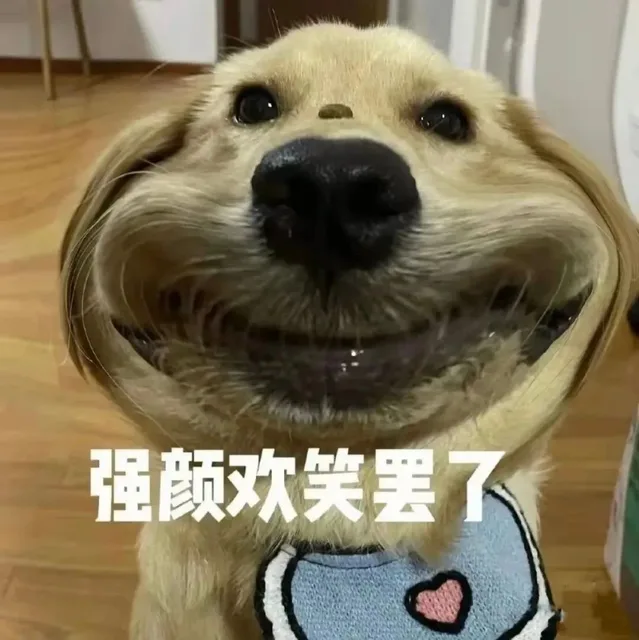强颜欢笑罢了（强颜欢笑罢了）