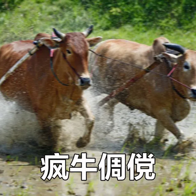 疯牛倜傥（疯牛倜傥）
