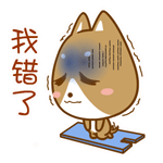 我错了