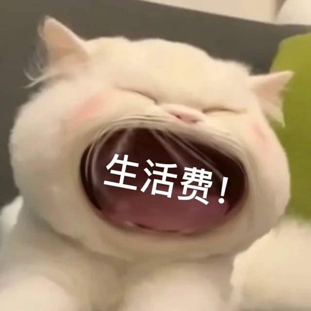 生活费!（生活费!）