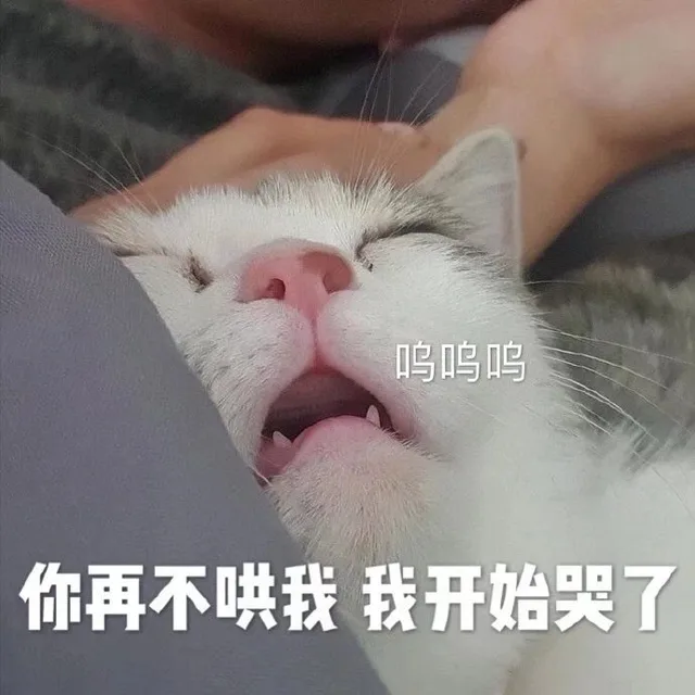 呜呜呜你再不哄我我开始哭了