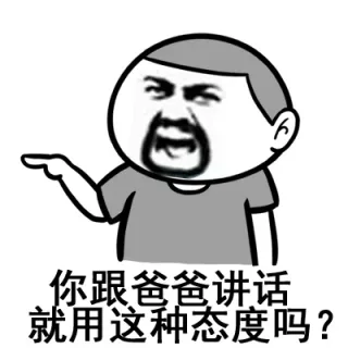 你跟爸爸讲话就用这种态度吗？