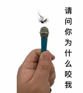 采访蚊子，请问你为什么要咬我？（采访蚊子，请问你为什么要咬我？）