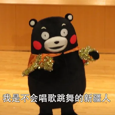 我是不会唱歌跳舞的新疆人（我是不会唱歌跳舞的新疆人）