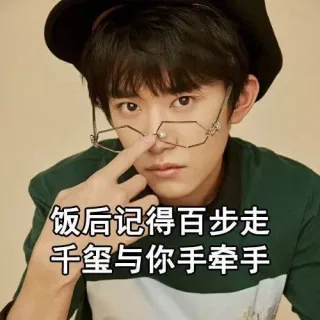 爱豆就是我前进的动力_爱豆_明星表情表情包
