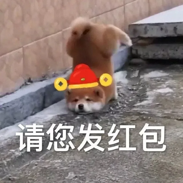 请您发红包
