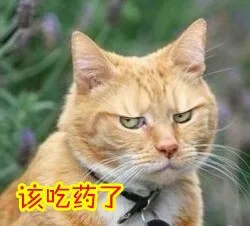 蛋蛋的忧桑！（汪星人与喵星人）_喵星人表情包