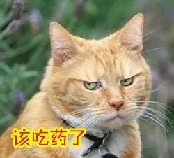 蛋蛋的忧桑！（汪星人与喵星人）_喵星人表情包