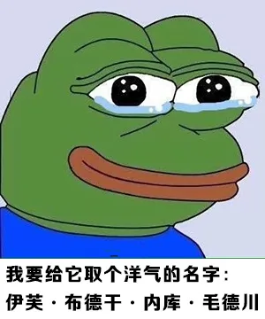 我要给它取个洋气的名字：伊芙-布得二-内裤-毛得川（我要给它取个洋气的名字：伊芙-布得二-内裤-毛得川）