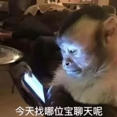 今天找哪位宝聊天呢（今天找哪位宝聊天呢）