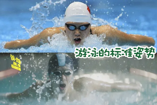 游泳的标准姿势