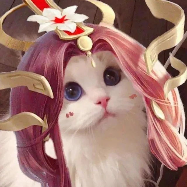 王者荣耀猫头头像7