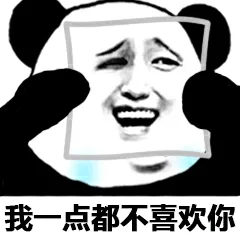 我一点都不喜欢你（我一点都不喜欢你）