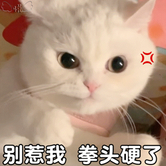 悦别惹我拳头硬了（悦别惹我拳头硬了）
